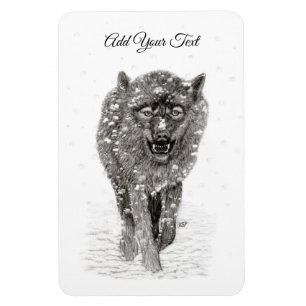 Der graue Schwarze Wolf im Schnee , der wilde Wint Magnet