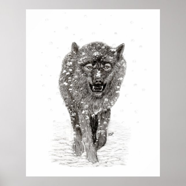 Der graue Schwarze Wolf im Schnee , der wilde Wint Poster (Vorne)