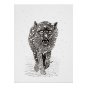 Der graue Schwarze Wolf im Schnee , der wilde Wint Poster