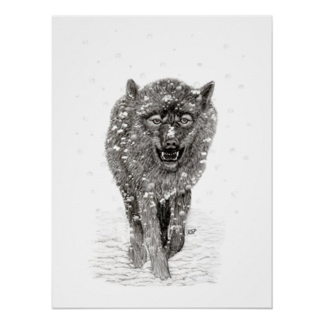 Der graue Schwarze Wolf im Schnee , der wilde Wint Poster (Vorderseite)