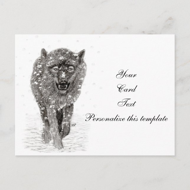 Der graue Schwarze Wolf im Schnee , der wilde Wint Postkarte (Vorderseite)
