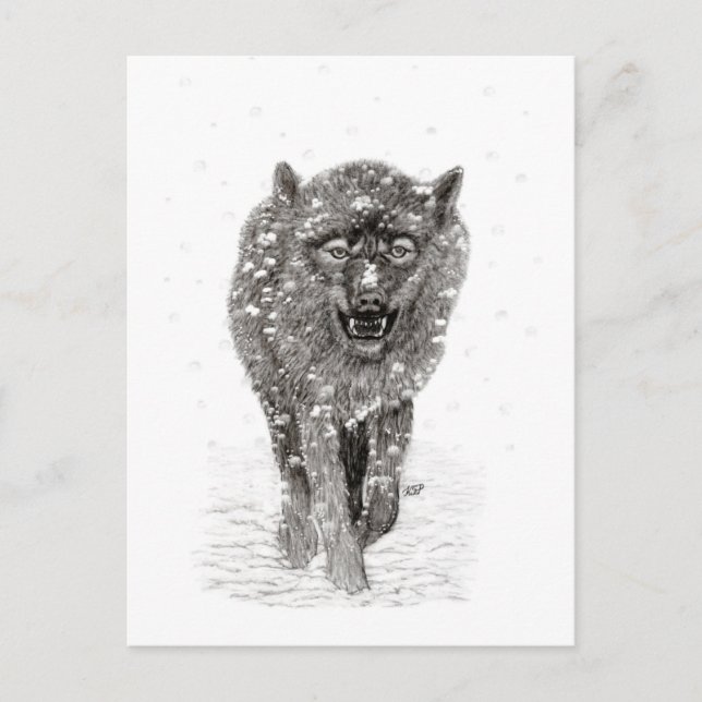 Der graue Schwarze Wolf im Schnee , der wilde Wint Postkarte (Vorderseite)