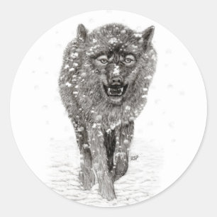 Der graue Schwarze Wolf im Schnee , der wilde Wint Runder Aufkleber
