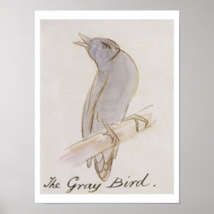 Der graue Vogel, von 'Sechzehn Zeichnungen von Com Poster