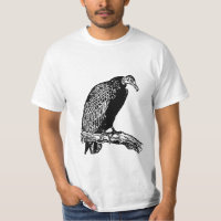 Der grimmige Bussard - ein perfektes