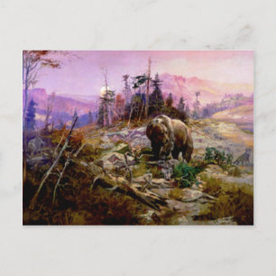 Der Grizzly Postkarte