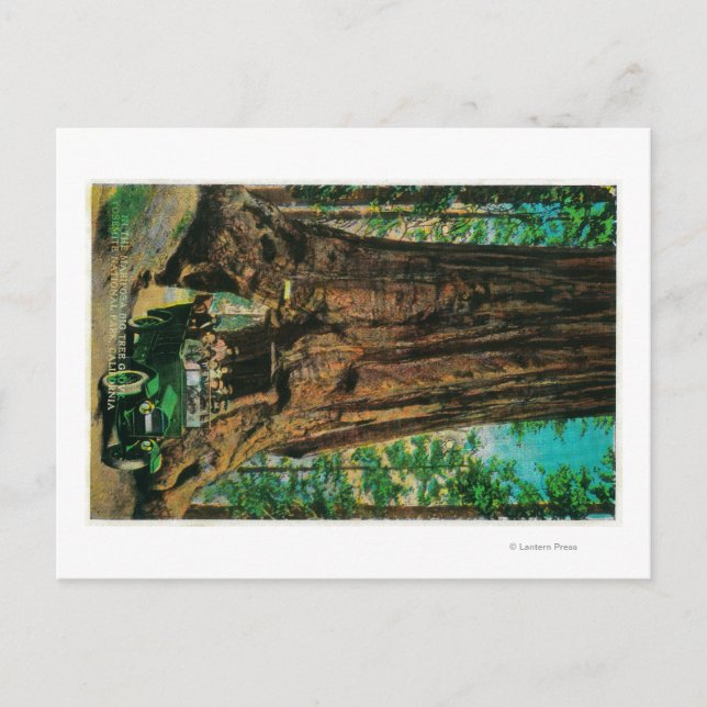 Der große Baumgarten Mariposa, Yosemite Postkarte (Vorderseite)