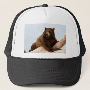 Der große braune Bär auf einem Rundgang Truckerkappe
