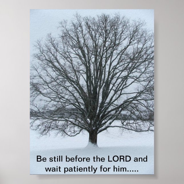 Der große Eichenbaum Poster (Vorne)