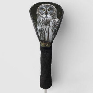 Der große graue Uhu dca Golf Headcover