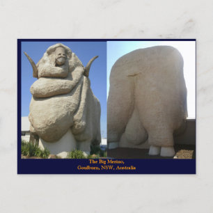 Der große Merino Postkarte