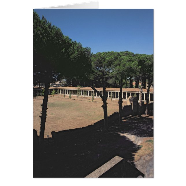 Der große Palastra (Vorne)