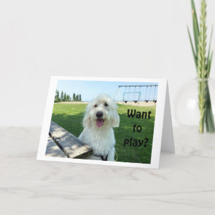 DER GROSSE SPRECHENDE HUND SAGT, GEWOLLT ZU SPIELE KARTE