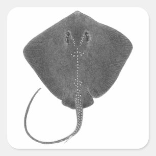 DER GROSSE SÜDEN QUADRATISCHER AUFKLEBER