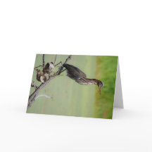 Der Grüne Jäger: Ein grüner Held auf der Uhr