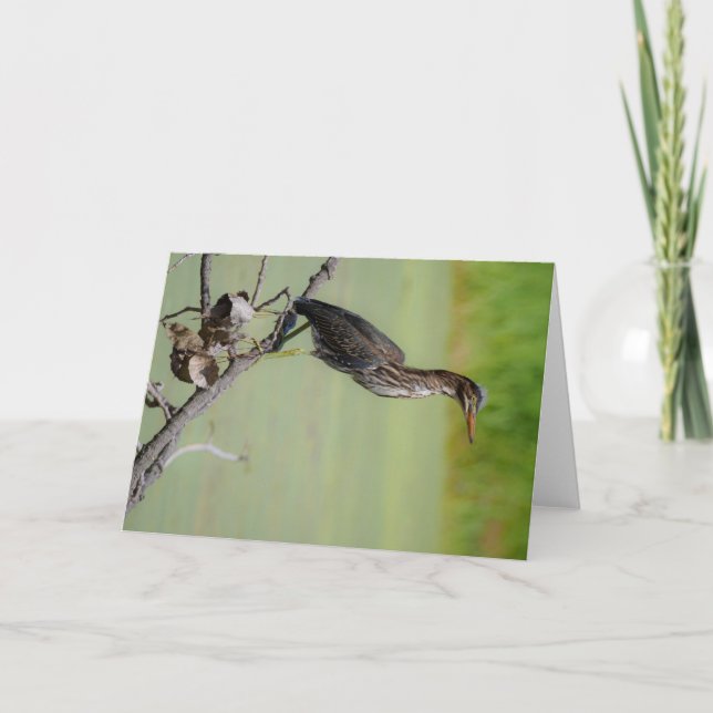 Der Grüne Jäger: Ein grüner Held auf der Uhr Karte (Vorderseite)