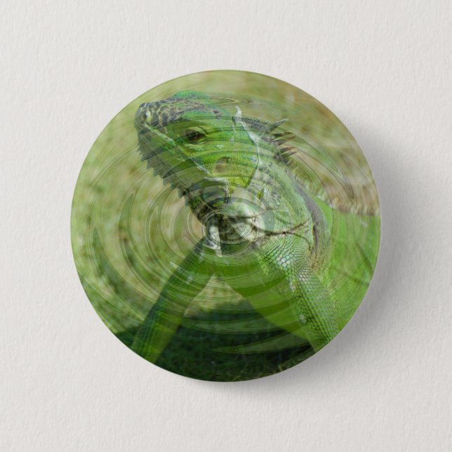 Der Grüne Leguan Button (Vorderseite)