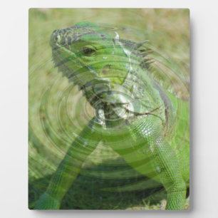 Der Grüne Leguan Fotoplatte