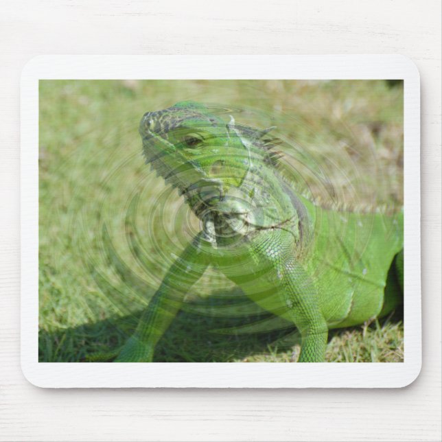 Der Grüne Leguan Mousepad (Vorne)