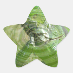 Der Grüne Leguan Stern-Aufkleber