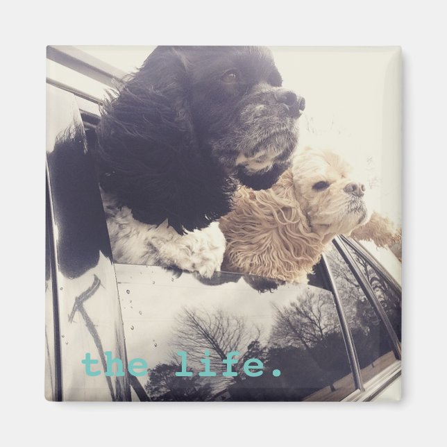 der gute Lebensmagnet Magnet (Vorne)