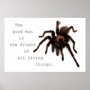 Der gute Mann Poster