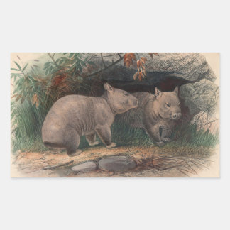 Der Haarnasenwombat von Joseph Wolf Rechteckiger Aufkleber
