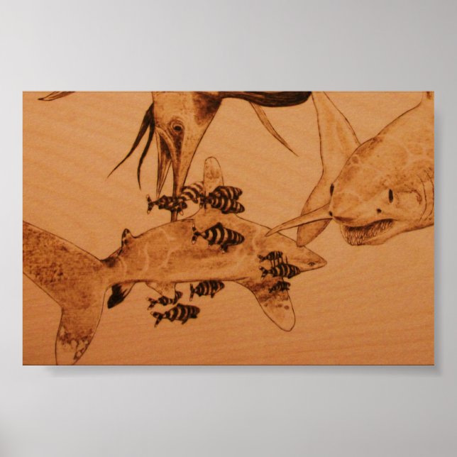 Der Hai-Bully Poster (Vorne)