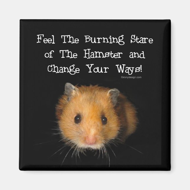 Der Hamster Magnet (Vorne)