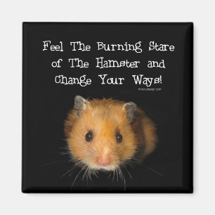 Der Hamster-Magnet Magnet