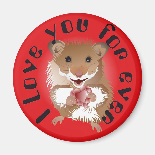 der Hamster, mein kleiner Freund Magnet (Vorne)