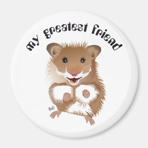 der Hamster, mein kleiner Freund Magnet