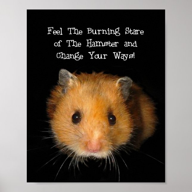 Der Hamster Poster (Vorne)