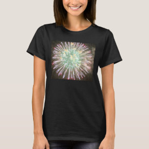 Der Hanes der Frauen Komfort-weicher T - Shirt