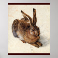 DER HASE ( Junger Hase )