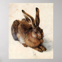 DER HASE ( Junger Hase )
