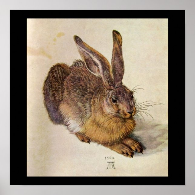 DER HASE ( Junger Hase ) Poster (Vorne)