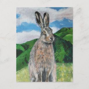 Der Hase Postkarte