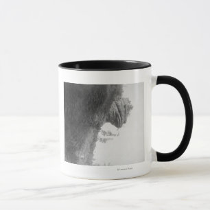 Der Hauptfelsen des Frosches auf Tasse