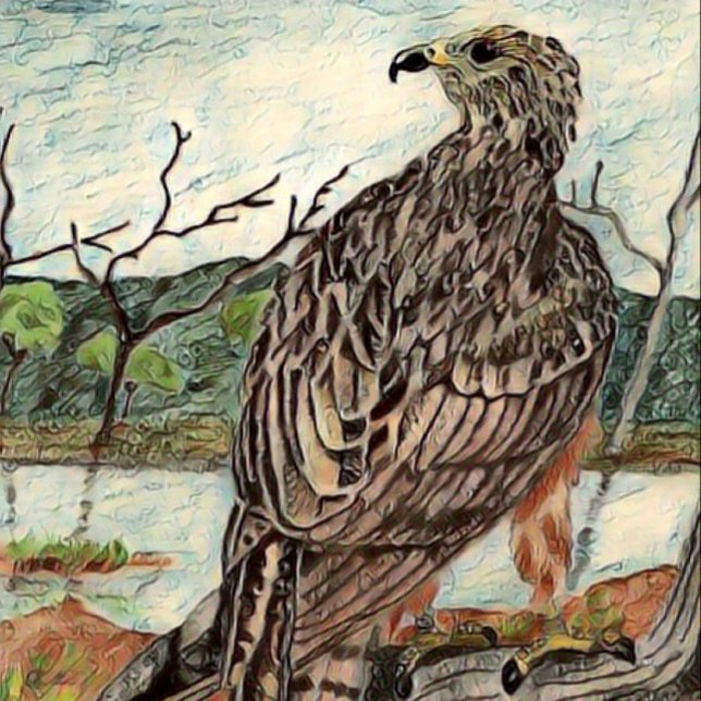 Der Hawk Leinwanddruck (Von Creator hochgeladen)