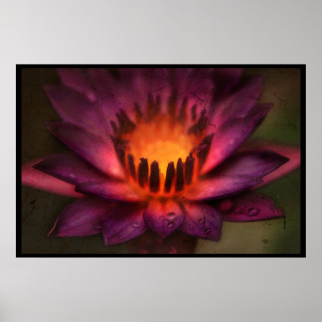 Der heilige Feuertanz eines Lotus Poster (Vorne)