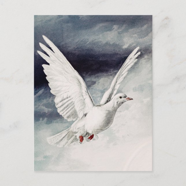 Der heilige Geist in Form einer Taube Postkarte (Vorderseite)