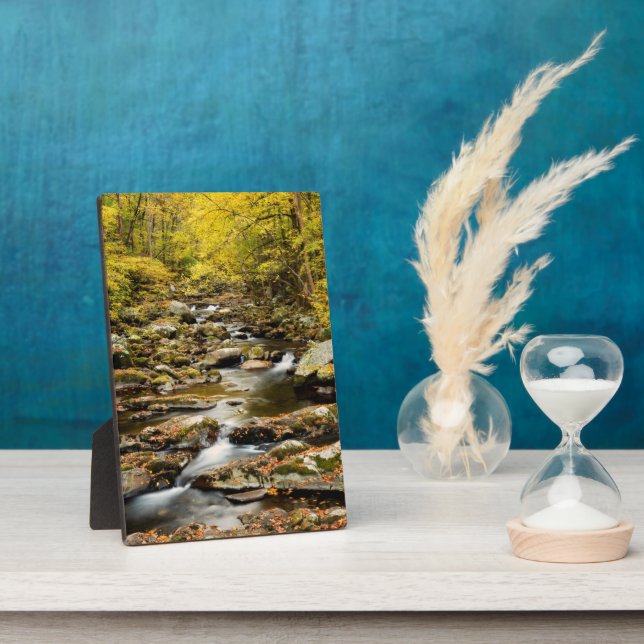 Der Herbst am Großen Bach Fotoplatte (Seite)