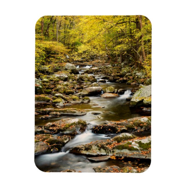 Der Herbst am Großen Bach Magnet (Vertikal)