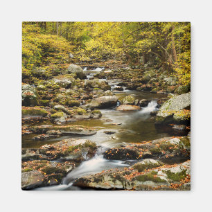 Der Herbst am Großen Bach Magnet