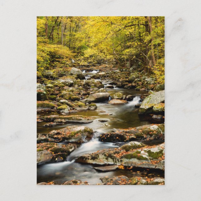 Der Herbst am Großen Bach Postkarte (Vorderseite)