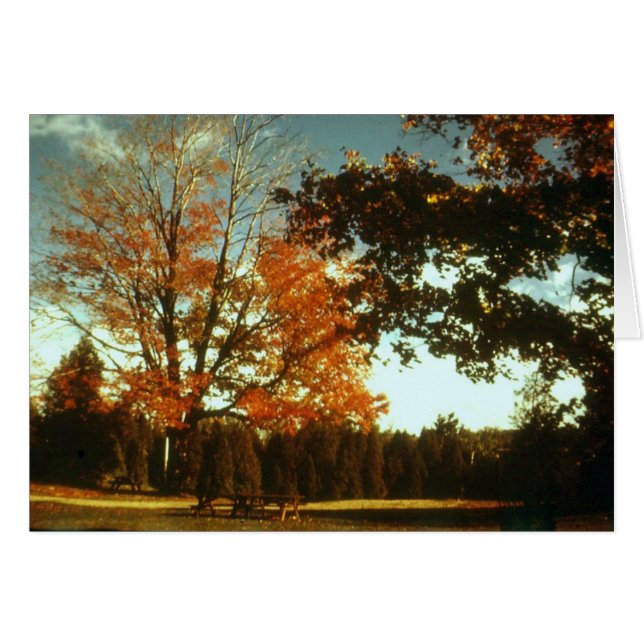 Der Herbst beginnt (Vorderseite (Horizontal))