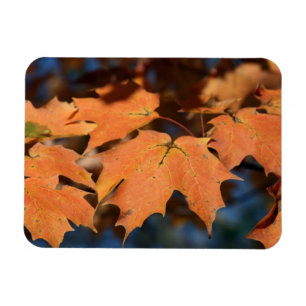 Der Herbst hinterlässt ein flexibles Magnet