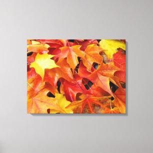 Der Herbst hinterlässt farbenfrohe Fotografien von Leinwanddruck