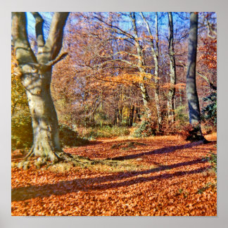 Der Herbst im Wald, die Sonne strahlt Poster
